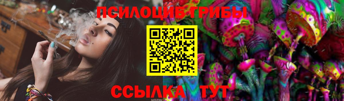 Усть-Джегута  Псилоцибиновые грибы Cubensis  Вход с VPN 